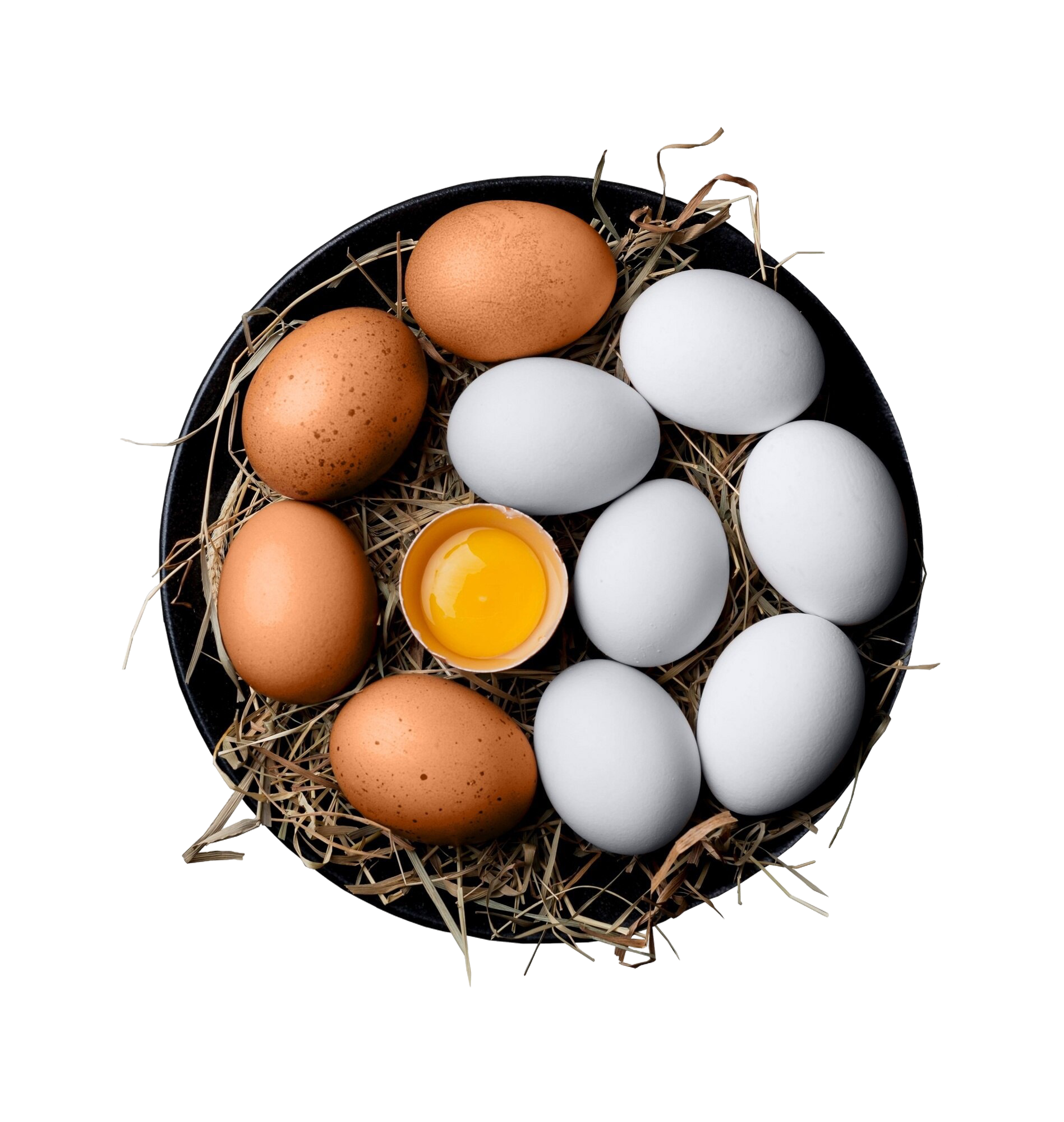 Eggs