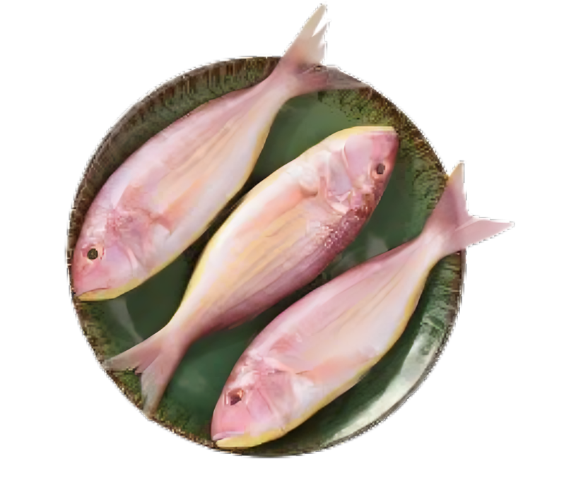Red Snapper / Chempalli / Rane (Large)