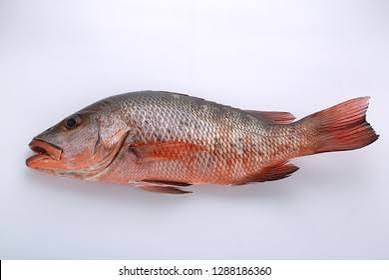 Cheppali
